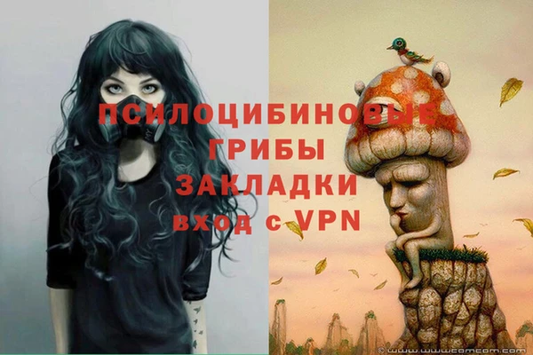 соль ск Алзамай