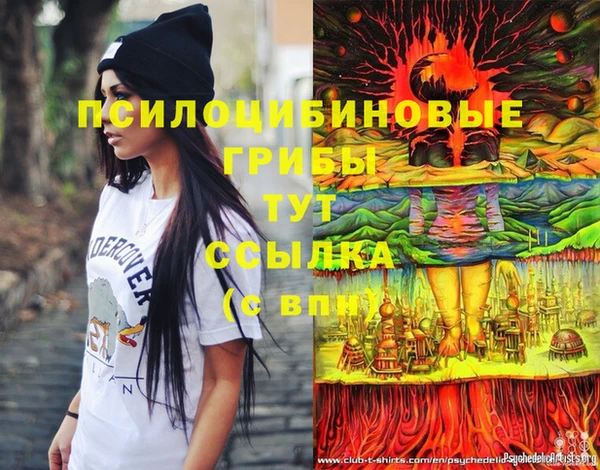 соль ск Алзамай