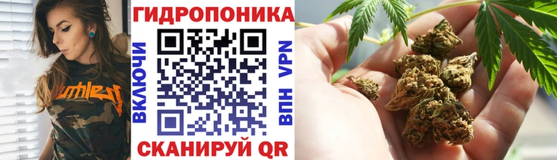 Марихуана THC 21%  где можно купить   Суджа 